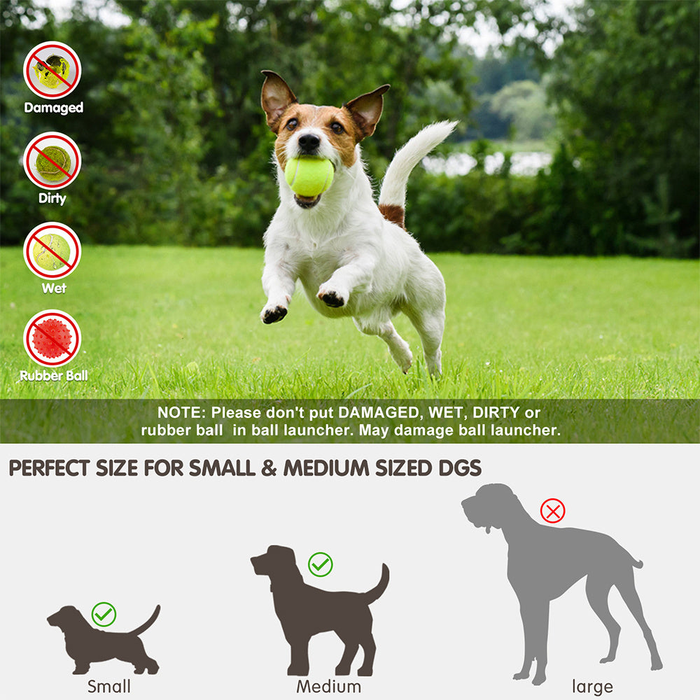 Tennis Ball Thrower – Keep Your Pup Active Daily